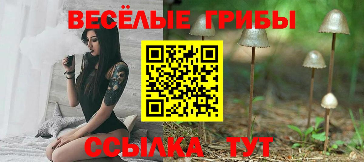 Дедовск  Псилоцибиновые грибы прущие грибы  Галлюциногенные грибы мицелий  Вход с VPN 